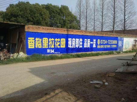 新野墙体广告对比传统广告媒介的优势在哪里