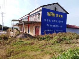 新野必须知道的墙体广告形势
