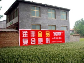 新野如何让墙体广告展现最大化效果