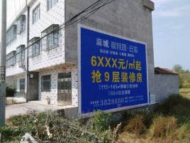 新野墙体广告质量分析