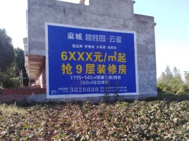 新野品牌公司青睐的墙体广告