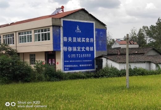 新野决定墙体广告价格的因素有哪些?