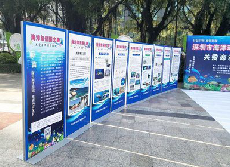 新野KT板的种类和知识。